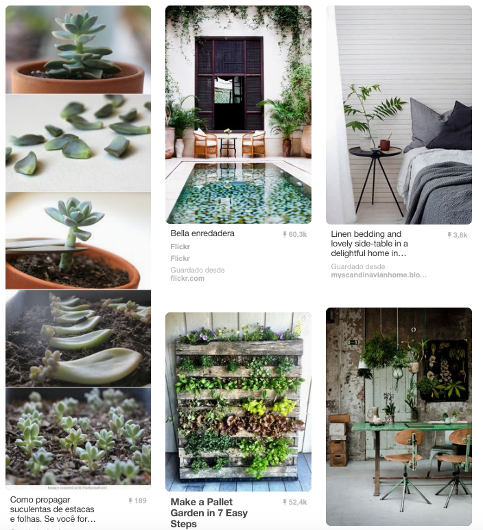 Pinteresteando en agosto